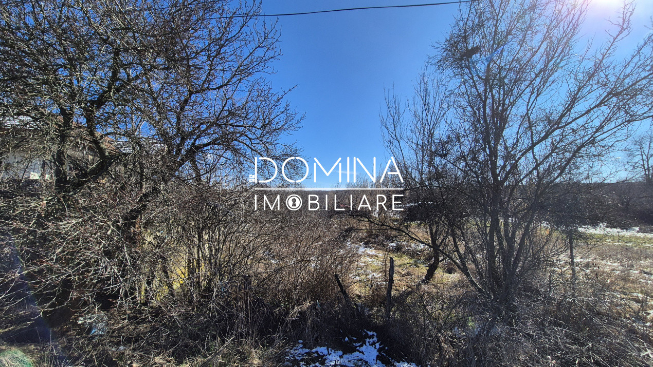 Oportunitate teren 6.504 mp – Curtișoara, la 11 km distanță de Târgu Jiu