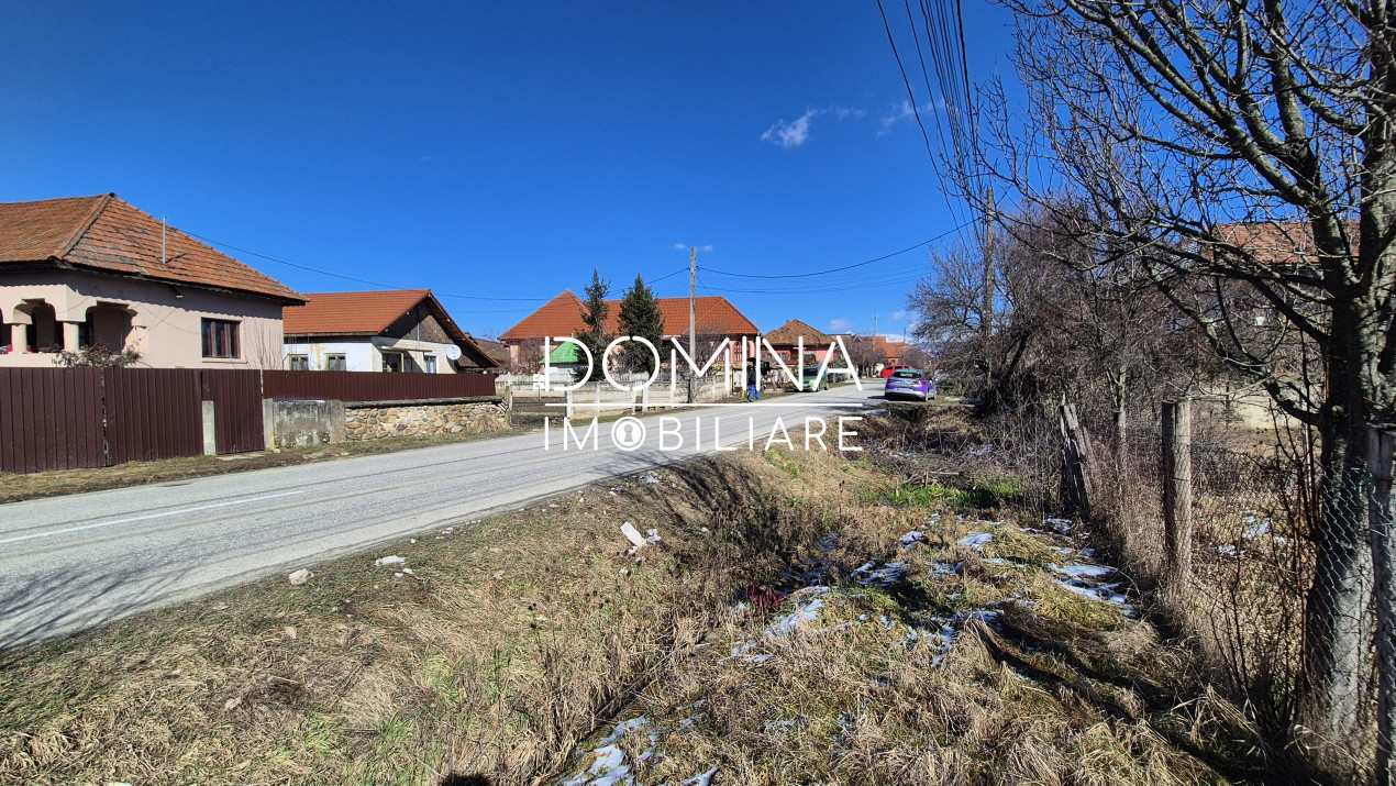 Oportunitate teren 6.504 mp – Curtișoara, la 11 km distanță de Târgu Jiu