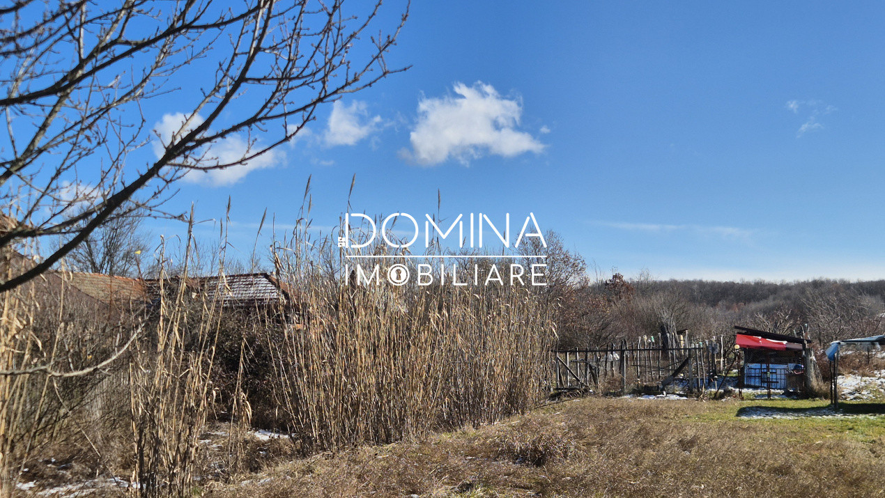 Oportunitate teren 6.504 mp – Curtișoara, la 11 km distanță de Târgu Jiu