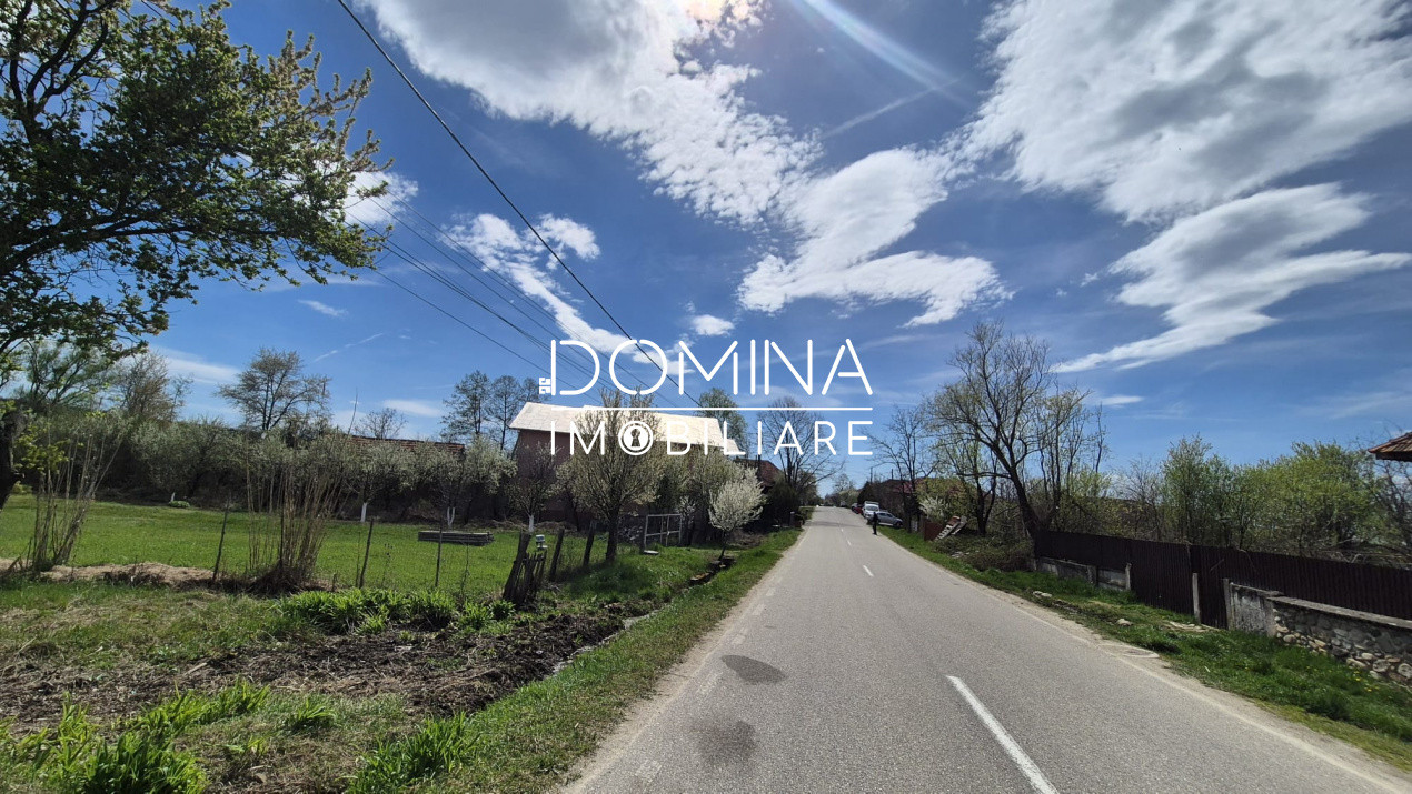 Oportunitate teren 6.504 mp – Curtișoara, la 11 km distanță de Târgu Jiu