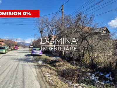 Oportunitate teren 6.504 mp – Curtișoara, la 11 km distanță de Târgu Jiu