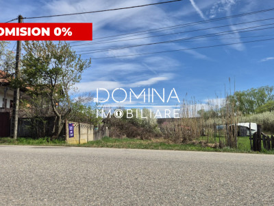 Oportunitate teren 6.504 mp – Curtișoara, la 11 km distanță de Târgu Jiu