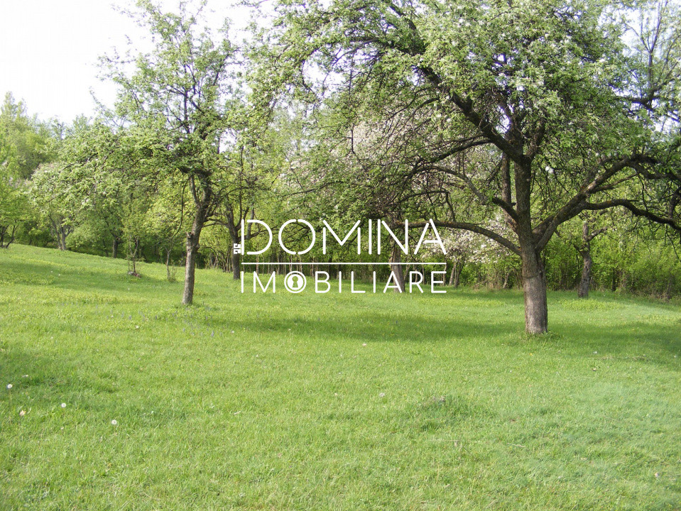 Închiriere loturi de teren în Comuna Runcu – sat Sănătești