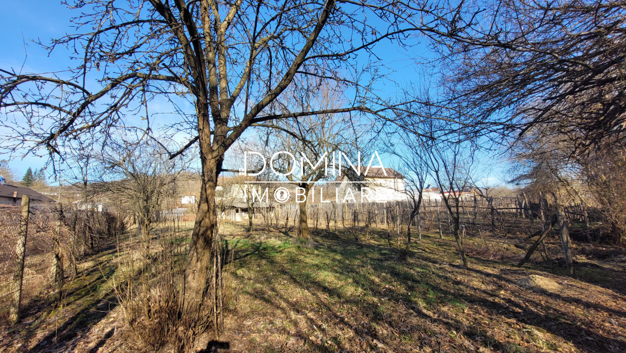 Vânzare casă D+P+1,  situată în comuna Căpreni, sat Bulbuceni