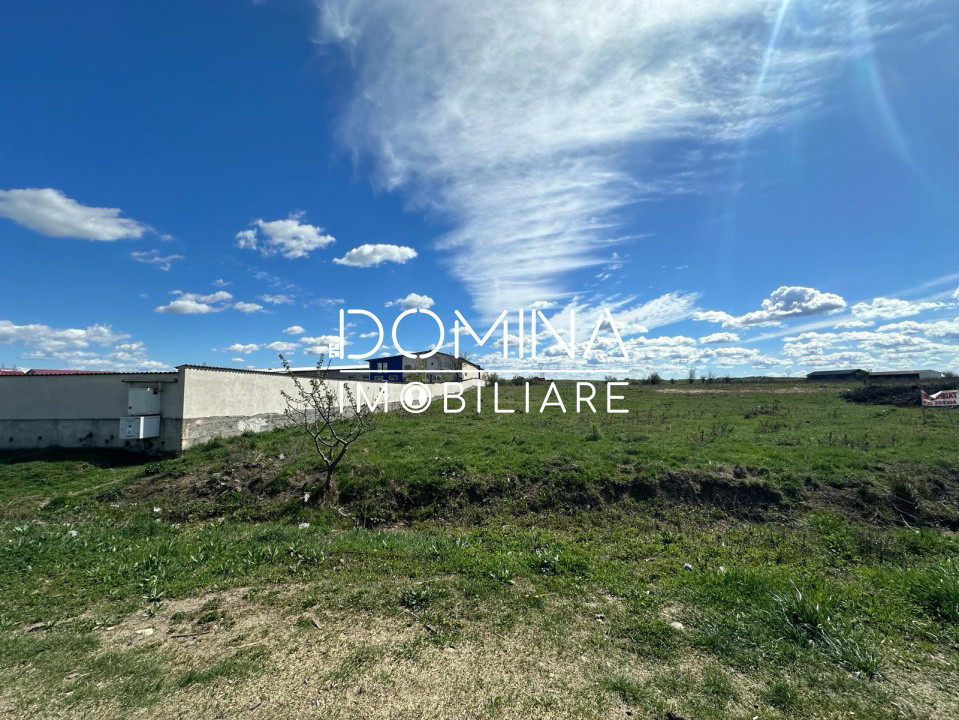 Vânzare teren intravilan 10.339 mp cu PUZ*dublă deschidere* - strada Narciselor 