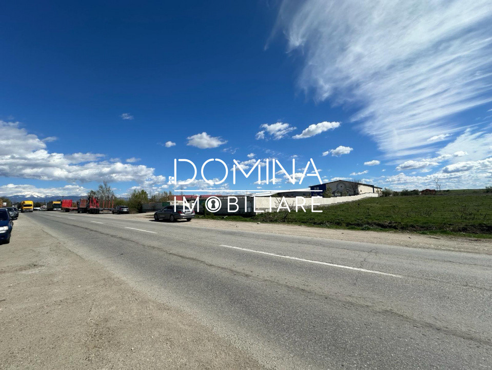 Vânzare teren intravilan 10.339 mp cu PUZ*dublă deschidere* - strada Narciselor 