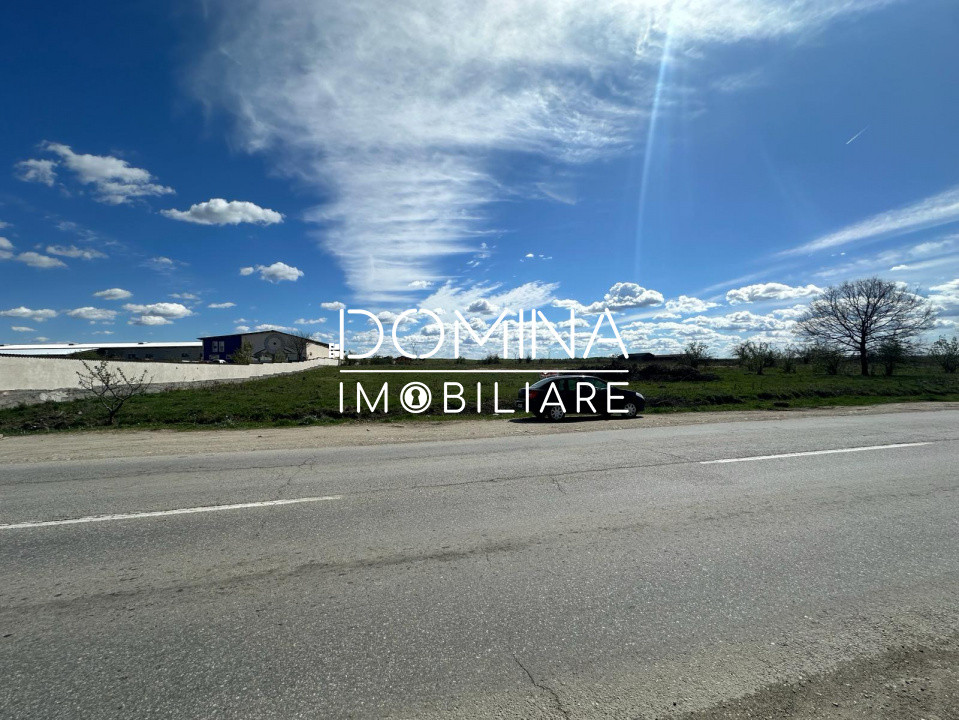 Vânzare teren intravilan 10.339 mp cu PUZ*dublă deschidere* - strada Narciselor 