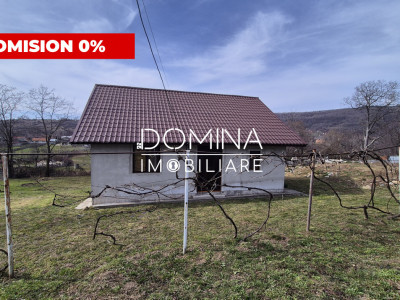 Vânzare casă construcție nouă, situată în comuna Baia de Fier