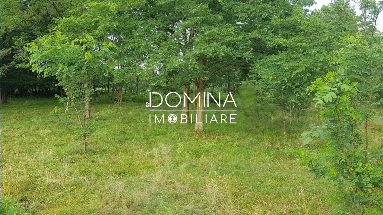 Vânzare teren aproape de Mănăstirea Polovragi, peisaj superb, zonă retrasă