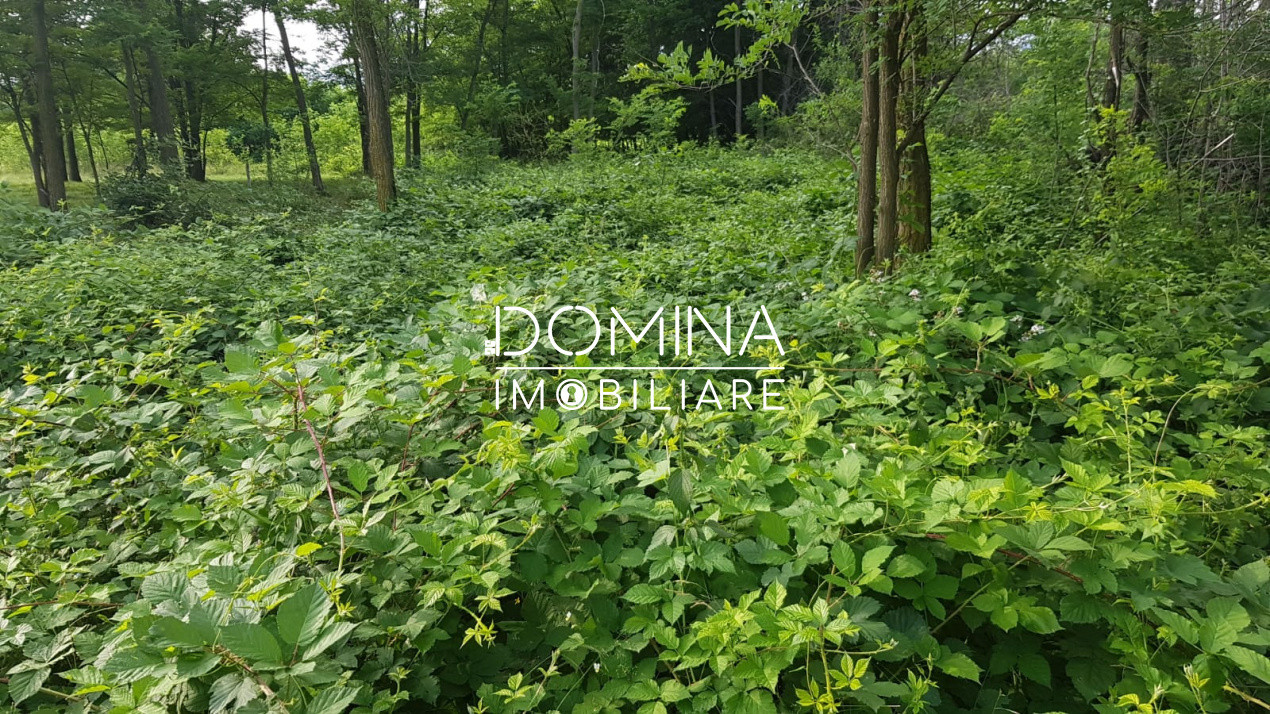 Vânzare teren aproape de Mănăstirea Polovragi, peisaj superb, zonă retrasă