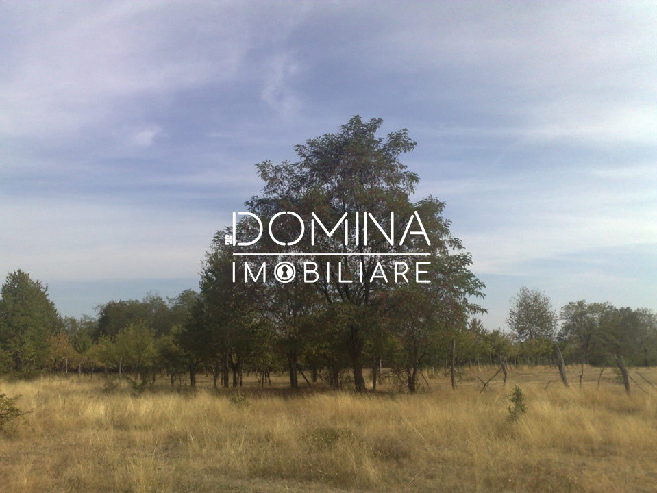 Vânzare teren aproape de Mănăstirea Polovragi, peisaj superb, zonă retrasă