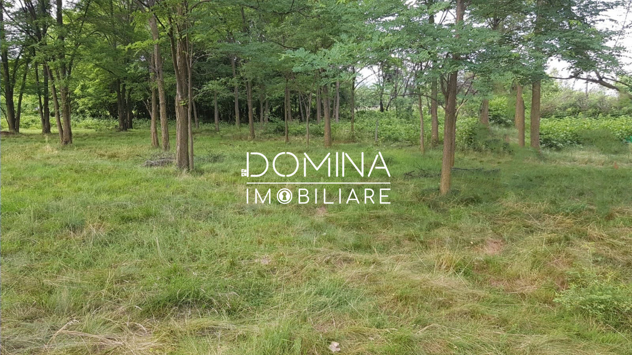 Vânzare teren aproape de Mănăstirea Polovragi, peisaj superb, zonă retrasă