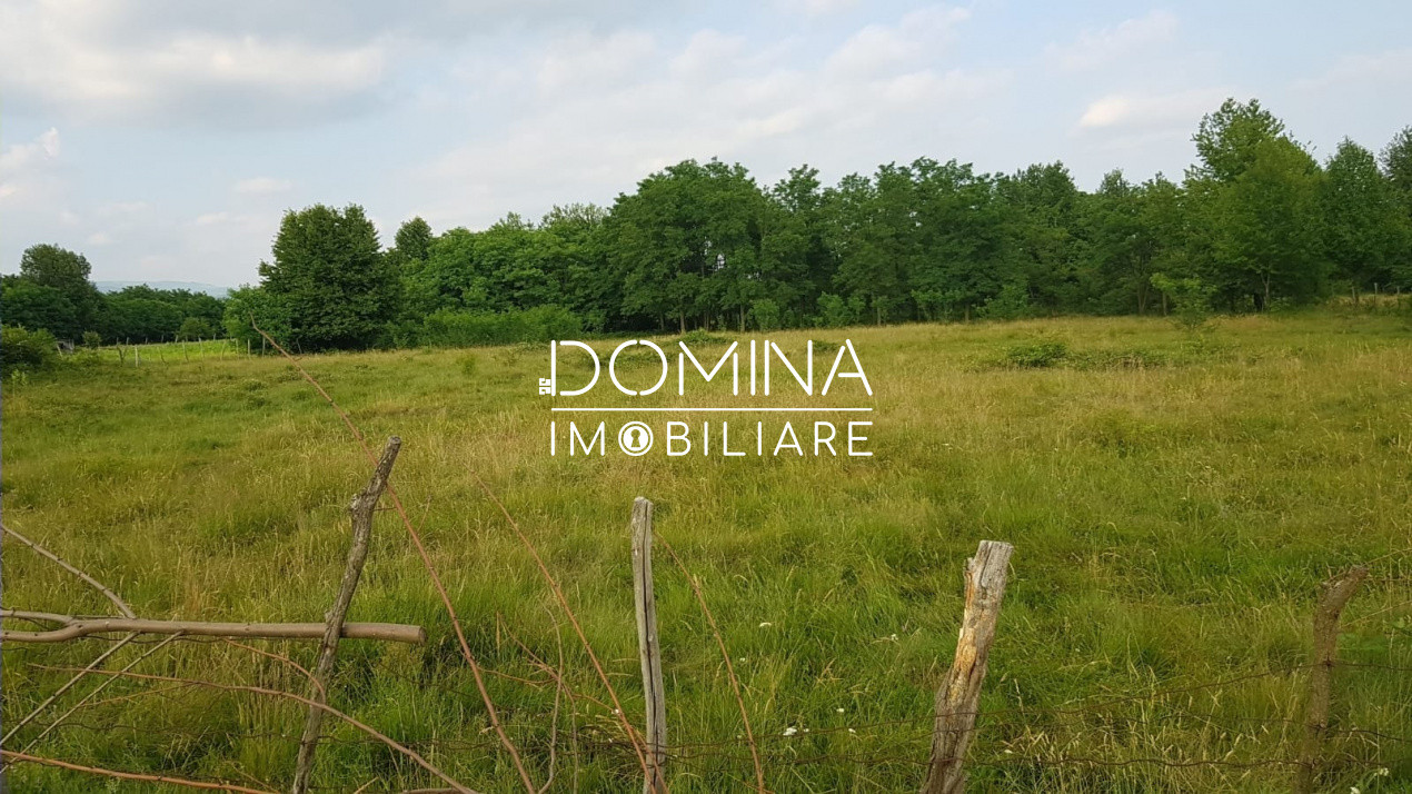 Vânzare teren intravilan, 6843 mp, oportunitate investiție turistică, Polovragi
