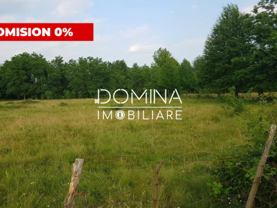 Vânzare teren aproape de Mănăstirea Polovragi, peisaj superb, zonă retrasă