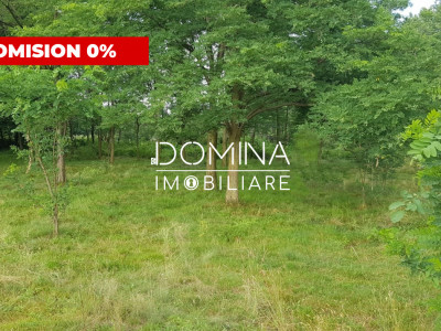 Vânzare teren intravilan, 6843 mp, oportunitate investiție turistică, Polovragi