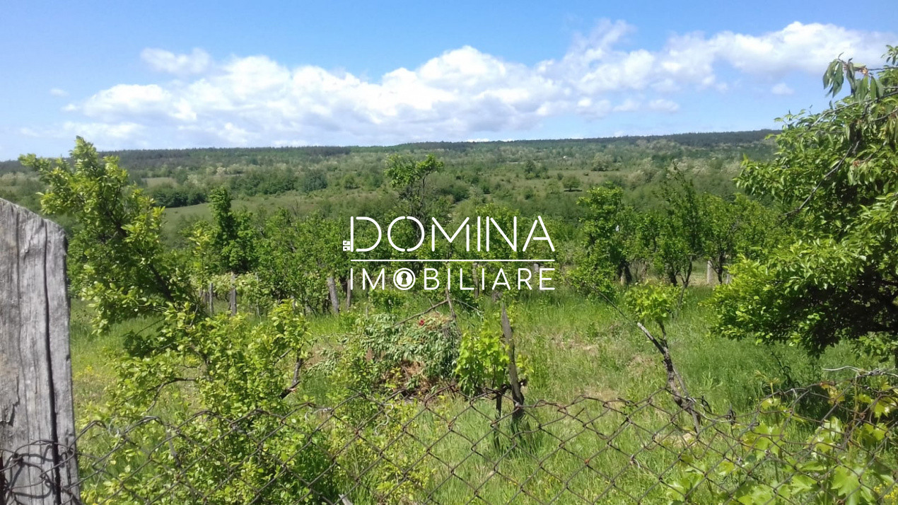 Vânzare casă cu teren generos, locație deosebită,  în Mușetești, Gorj