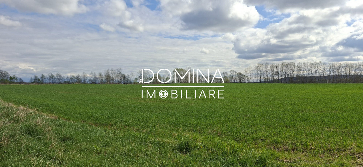 Vânzare teren intravilan 20.386 mp în Câlnic–traversat de râu, 19 km de Tg Jiu