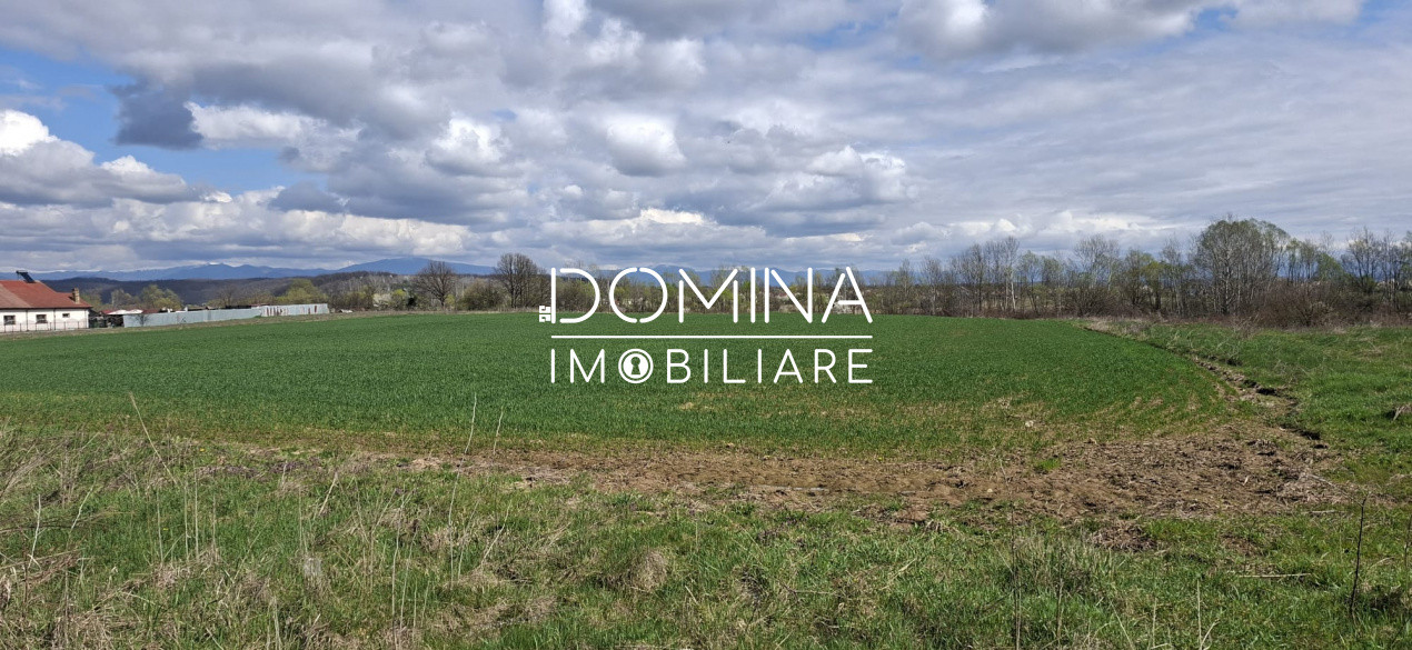 Vânzare teren intravilan 20.386 mp în Câlnic–traversat de râu, 19 km de Tg Jiu