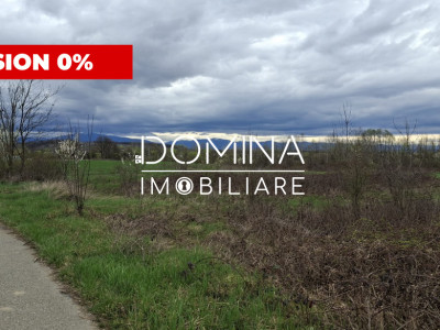 Vânzare teren intravilan 20.386 mp în Câlnic–traversat de râu, 19 km de Tg Jiu