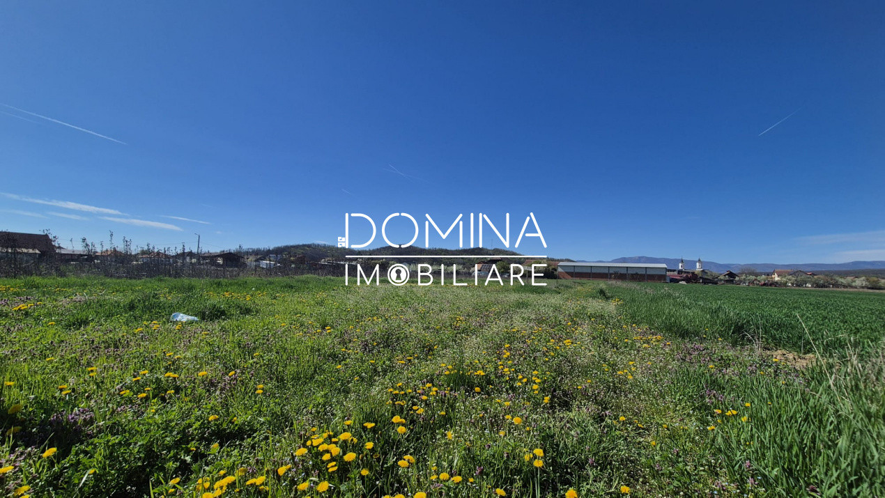 Vânzare loturi teren intravilan 520 mp - Sat Ceauru - la 10 km de Târgu Jiu