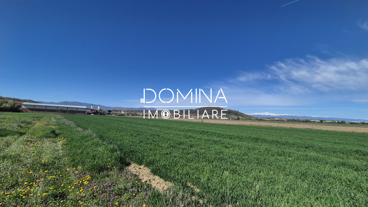 Vânzare loturi teren intravilan 520 mp - Sat Ceauru - la 10 km de Târgu Jiu