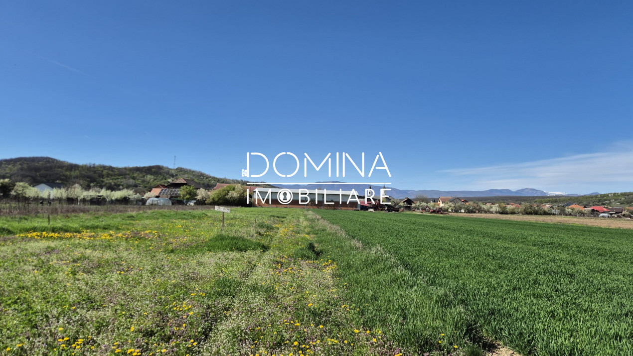 Vânzare loturi teren intravilan 520 mp - Sat Ceauru - la 10 km de Târgu Jiu