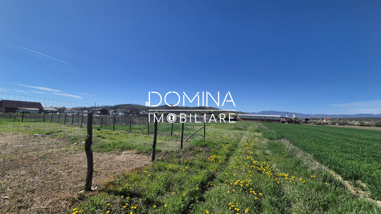 Vânzare loturi teren intravilan 520 mp - Sat Ceauru - la 10 km de Târgu Jiu