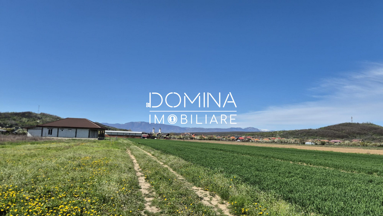 Vânzare loturi teren intravilan 520 mp - Sat Ceauru - la 10 km de Târgu Jiu