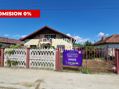Casă P+1 de vânzare cu teren 1.143 mp – Târgu Jiu, zona Panduri, str. Motrului