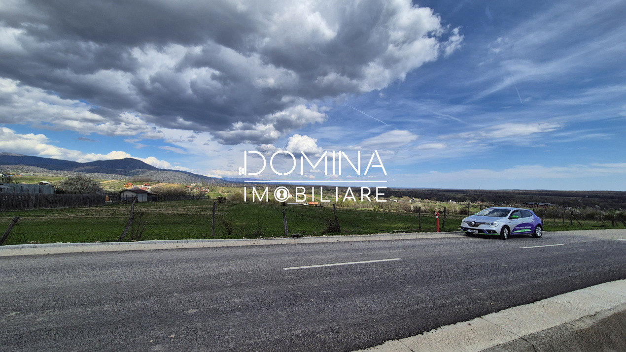 Vânzare teren 2500 mp - Runcu - Sat Valea Mare - liniște, natură, utilități