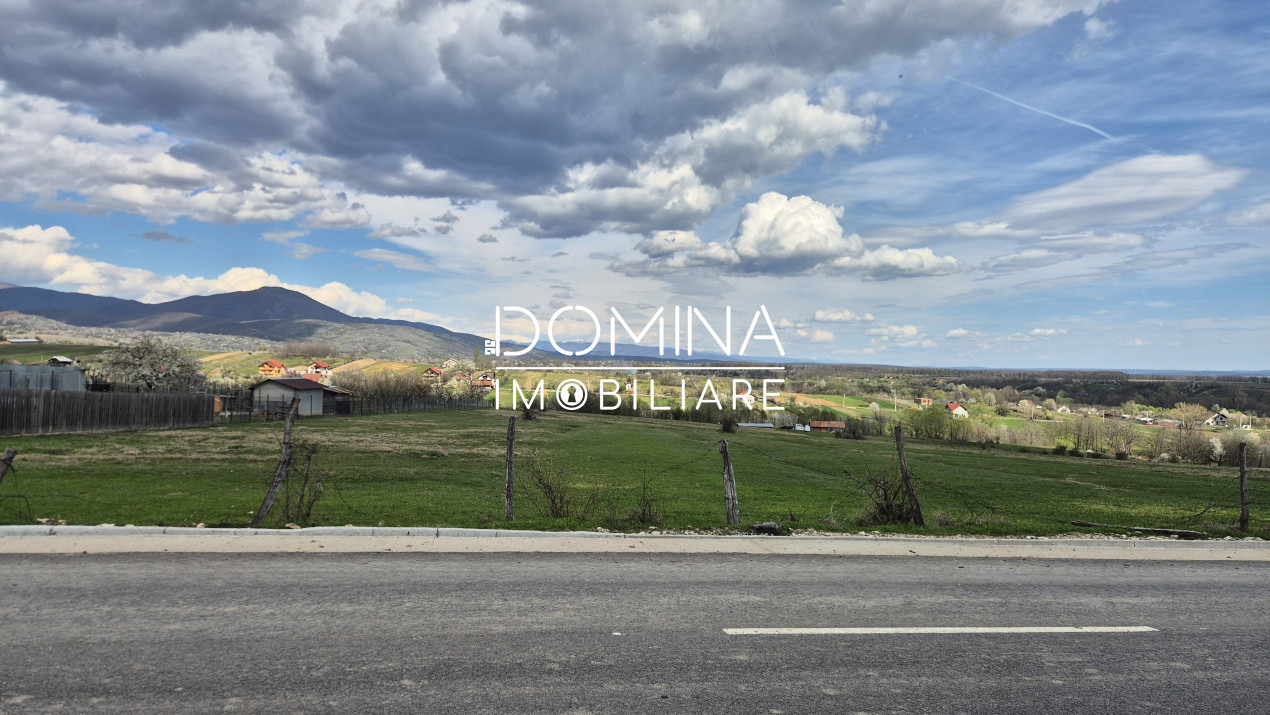 Vânzare teren 2500 mp - Runcu - Sat Valea Mare - liniște, natură, utilități