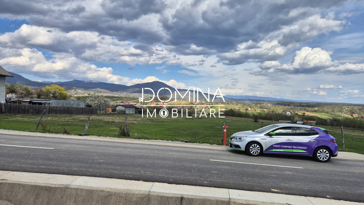 Vânzare teren 2500 mp - Runcu - Sat Valea Mare - liniște, natură, utilități