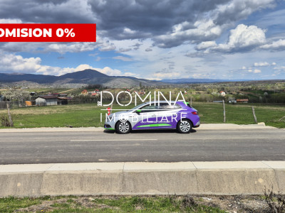 Vânzare teren 2500 mp - Runcu - Sat Valea Mare - liniște, natură, utilități