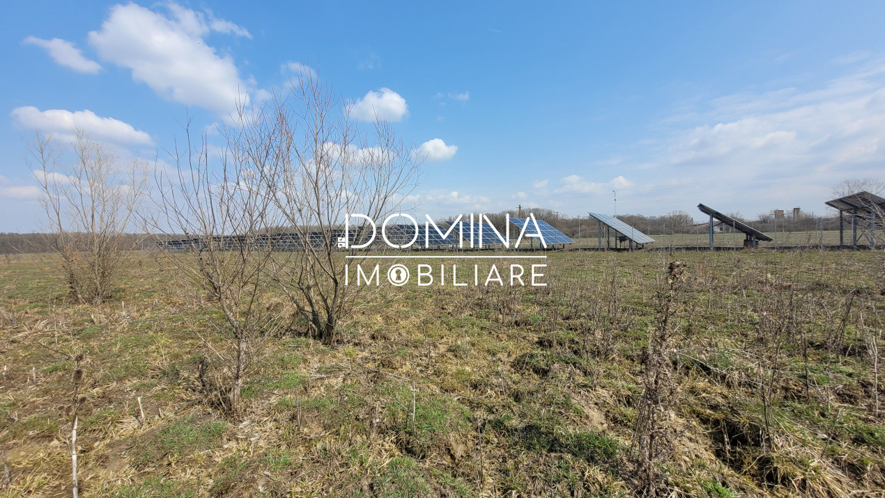 Vânzare teren intravilan, 978 mp, comuna Drăguțești, sat Urechești 