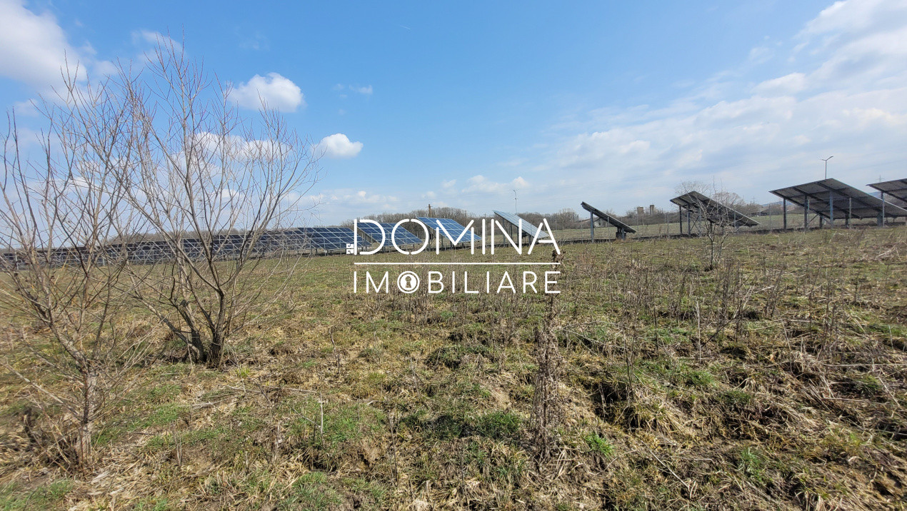 Vânzare teren intravilan, 978 mp, comuna Drăguțești, sat Urechești 