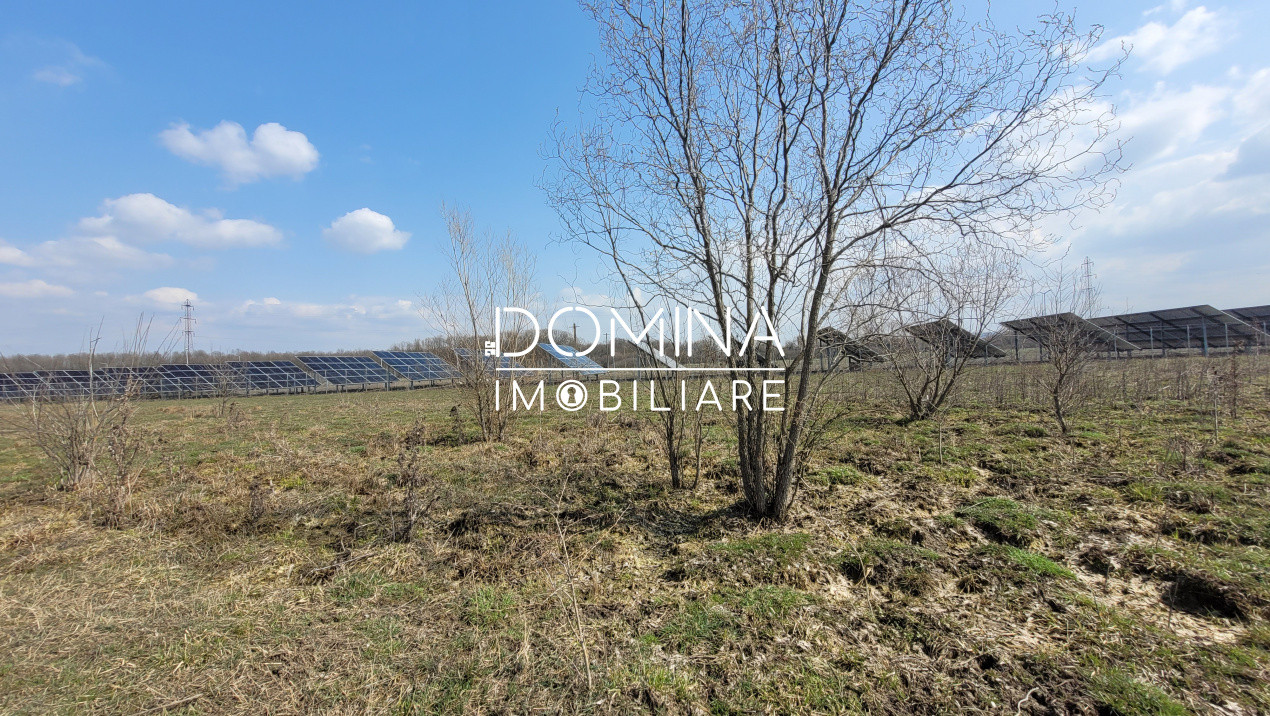 Vânzare teren intravilan, 978 mp, comuna Drăguțești, sat Urechești 