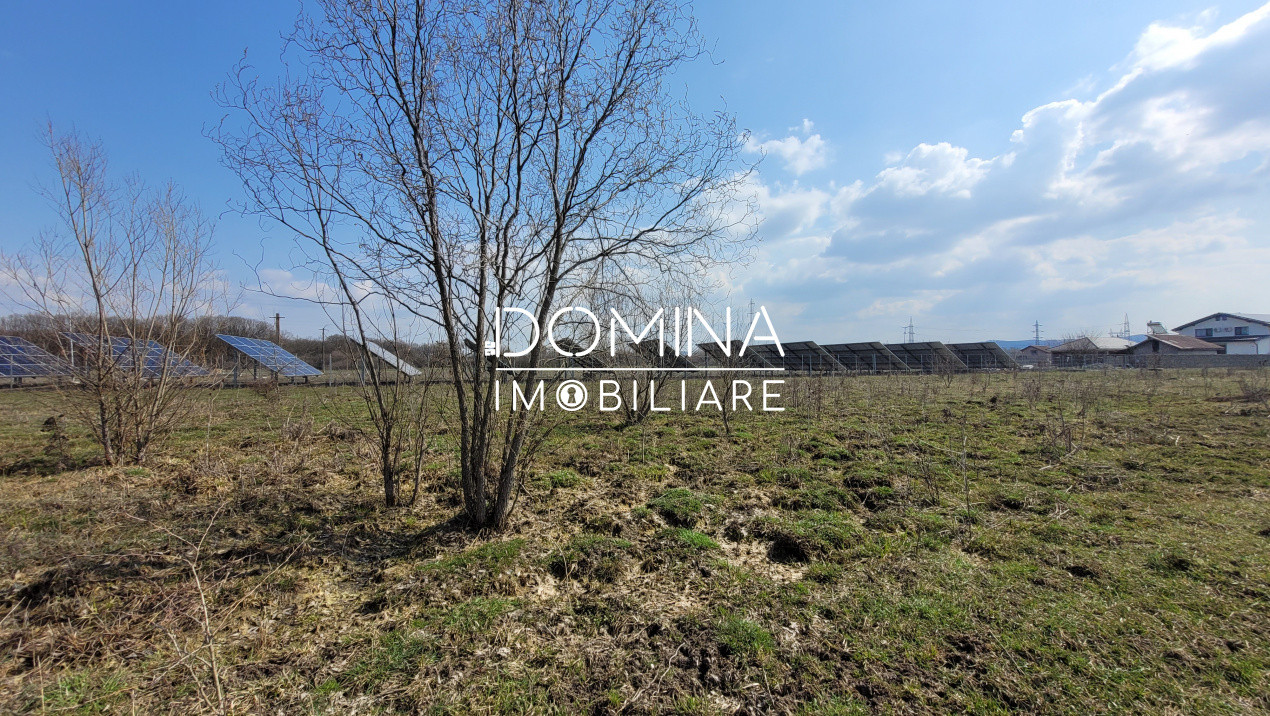 Vânzare teren intravilan, 978 mp, comuna Drăguțești, sat Urechești 