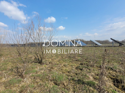 Vânzare teren intravilan, 978 mp, comuna Drăguțești, sat Urechești 