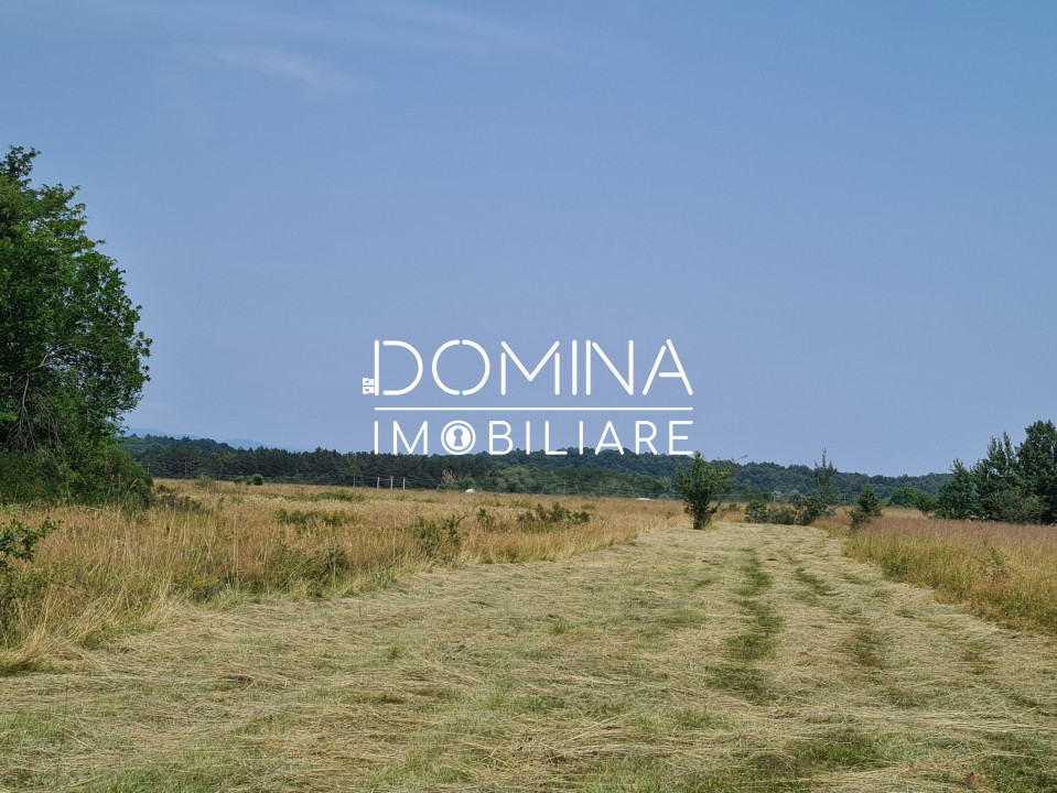 Vânzare teren *17,8 ha - front stradal 40 m.l.* Comuna Runcu - Sat Dobrița