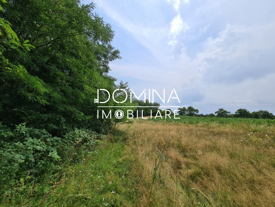 Vânzare teren *17,8 ha - front stradal 40 m.l.* Comuna Runcu - Sat Dobrița