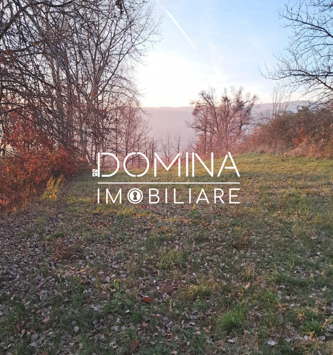 Vânzare teren intravilan 3100 mp – Novaci – ideal investiție turistică 