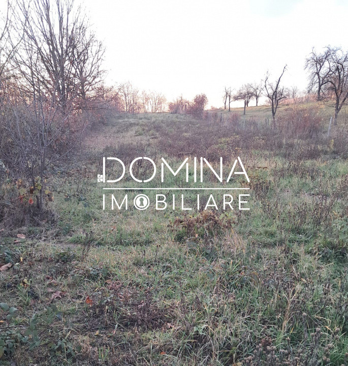 Vânzare teren intravilan 3100 mp – Novaci – ideal investiție turistică 