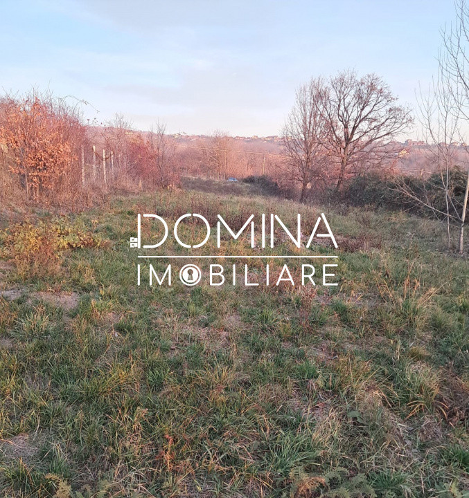 Vânzare teren intravilan 3100 mp – Novaci – ideal investiție turistică 