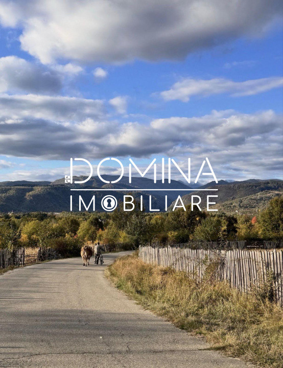 Vânzare teren intravilan *3262 mp -  Baia de Fier - potențial turistic*