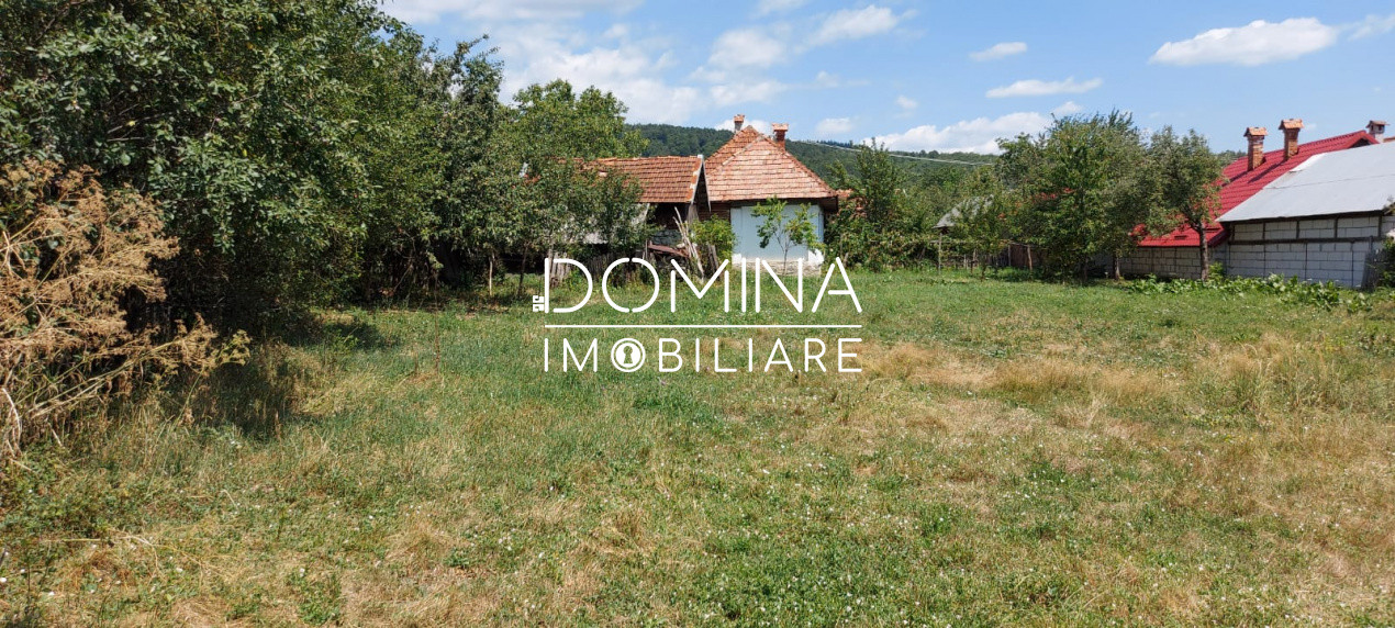 Vânzare casă tradițională, teren 1583 mp, Polovragi 
