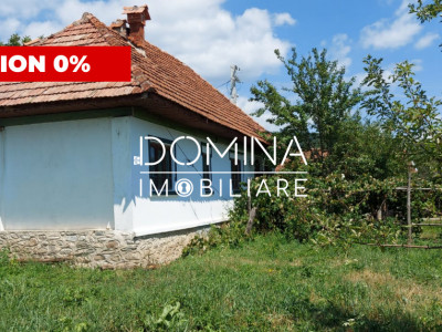 Vânzare casă tradițională, teren 1583 mp, Polovragi 
