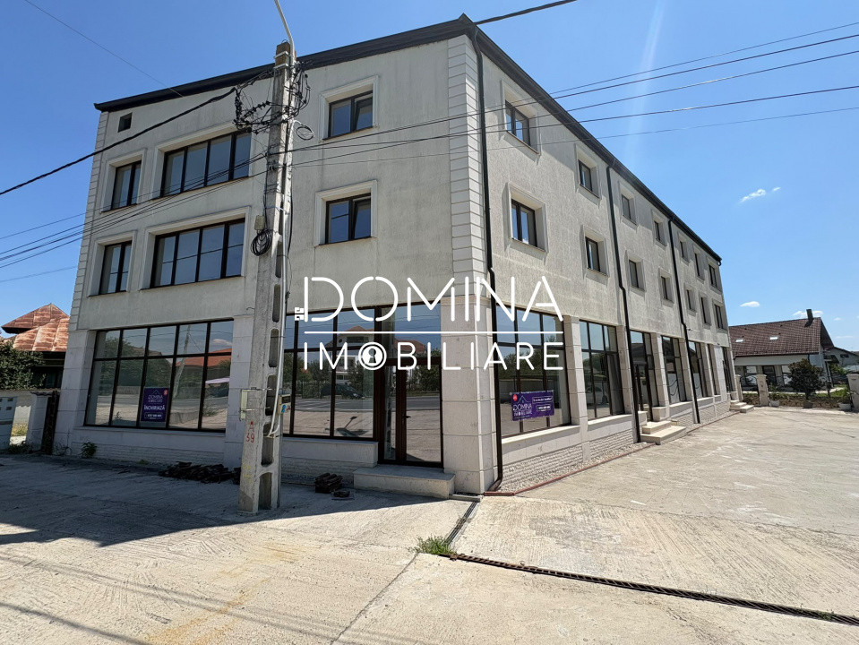 Închiriere spațiu comercial 263 mp cu piscină interioară – DN 66, Romanești