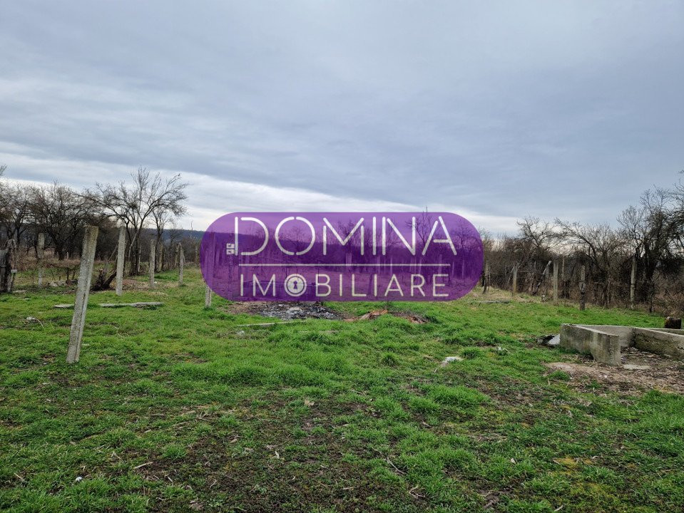 Vânzare proprietate situată în Stolojani - la 15 km distanță de Târgu Jiu