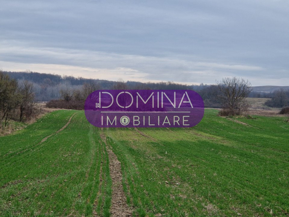 Vânzare proprietate situată în Stolojani - la 15 km distanță de Târgu Jiu