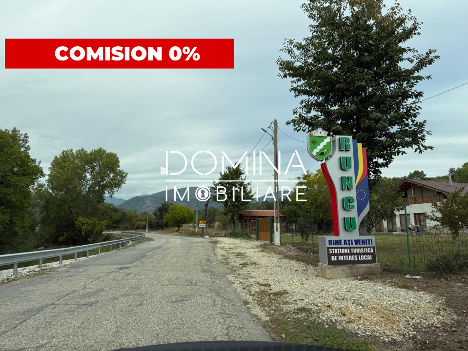 Vânzare teren 13.000 mp - Runcu-Suseni - oportunitate turistică